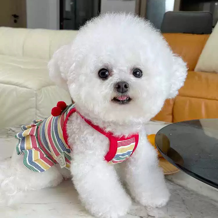 New Arrival Stripes Suspender Skirt Couple Wear Bichon Vest
