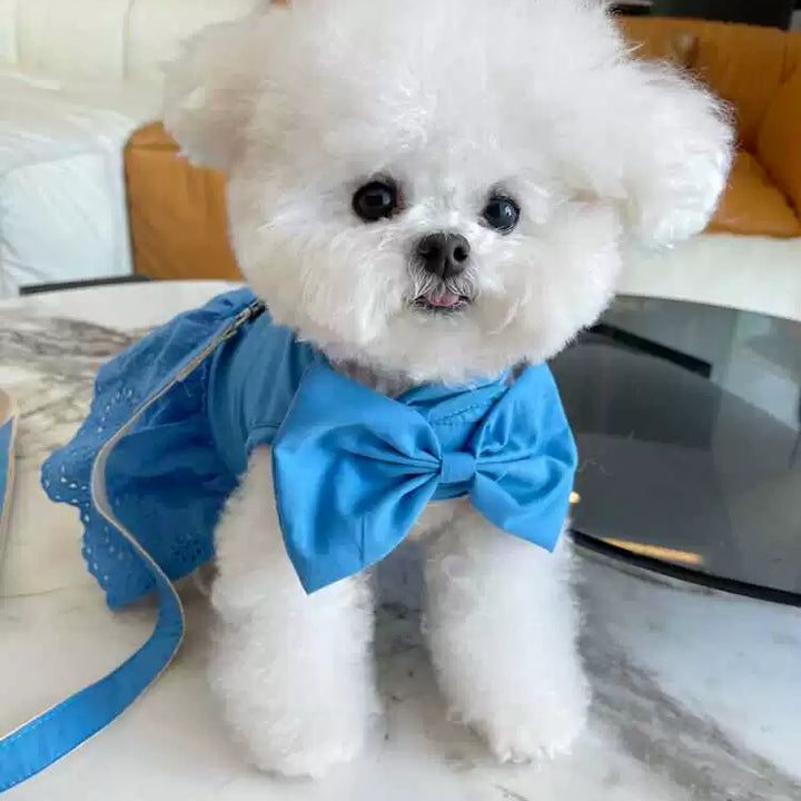 Dog Summer Hook and Loop Fasteners Korean Skirt Traction Buckle