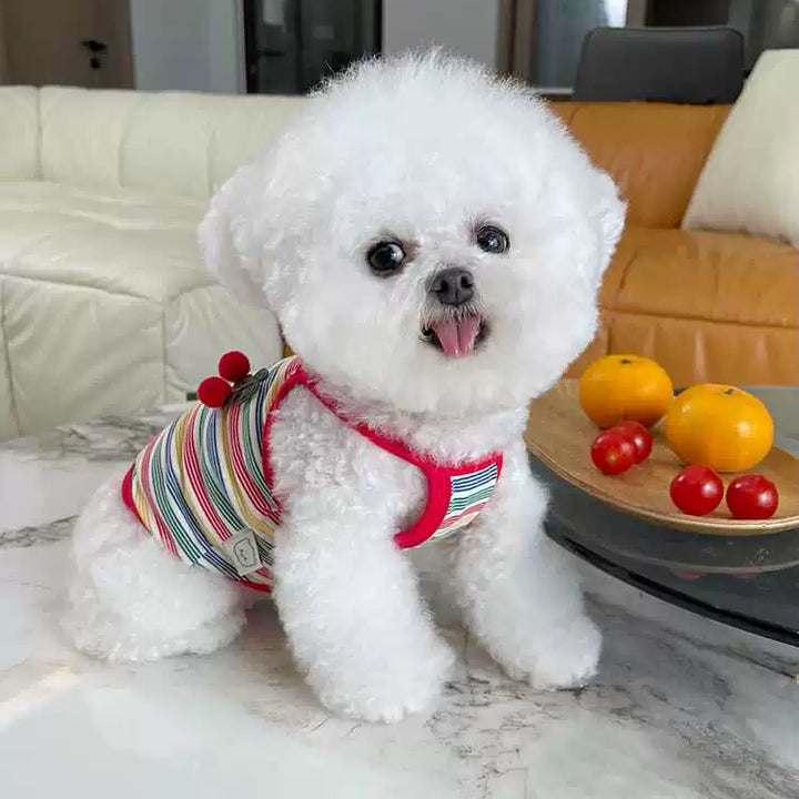 New Arrival Stripes Suspender Skirt Couple Wear Bichon Vest