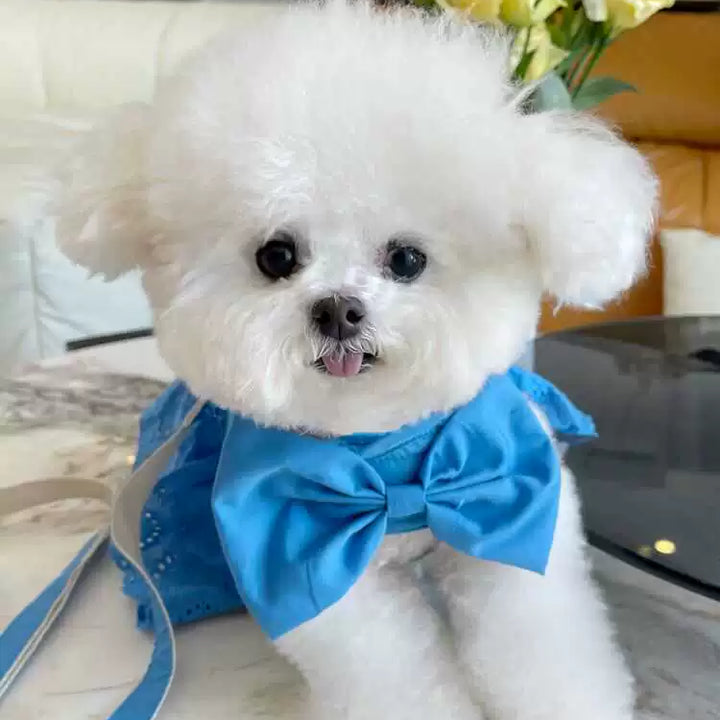 Dog Summer Hook and Loop Fasteners Korean Skirt Traction Buckle