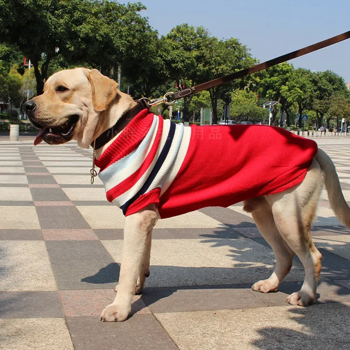 Suéter de Natal para Cachorro - Rena Vermelha - Quentinho de Inverno